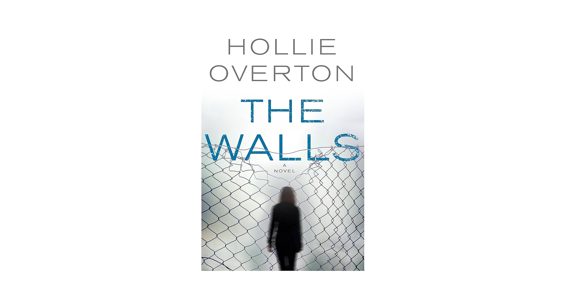 Amazon.com: The Walls: 9780316268769: Overton, Hollie: Books